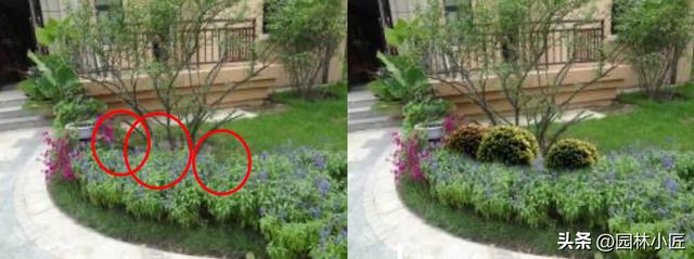 园林施工中的细节问题你需要注意这几点（附图）开云体育 开云官网(图5)
