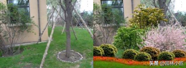 园林施工中的细节问题你需要注意这几点（附图）开云体育 开云官网(图6)