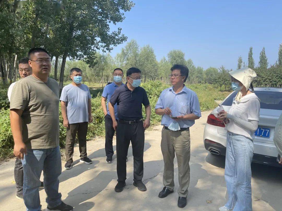 国家林草局、市园林绿化局到顺义区督导检查第开云体育 开云官网三代美国白蛾防控工作(图1)