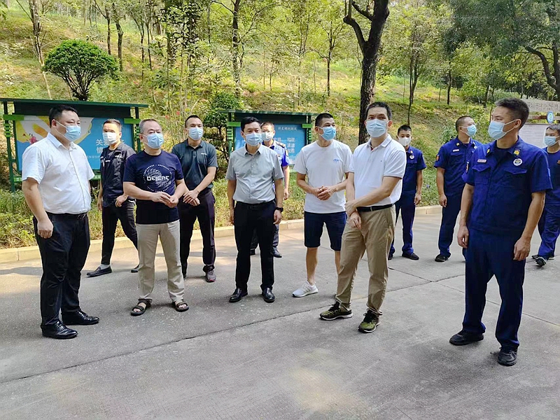 平湖街道提升园林绿化水平增进民生福祉开云体育 开云平台(图1)