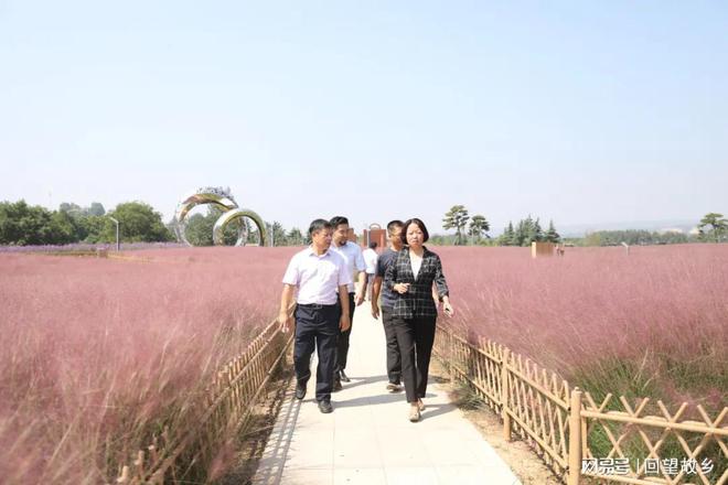 开云体育 开云平台三门峡市公路中心领导实地督导仰韶大道绿化景观提升项目(图1)