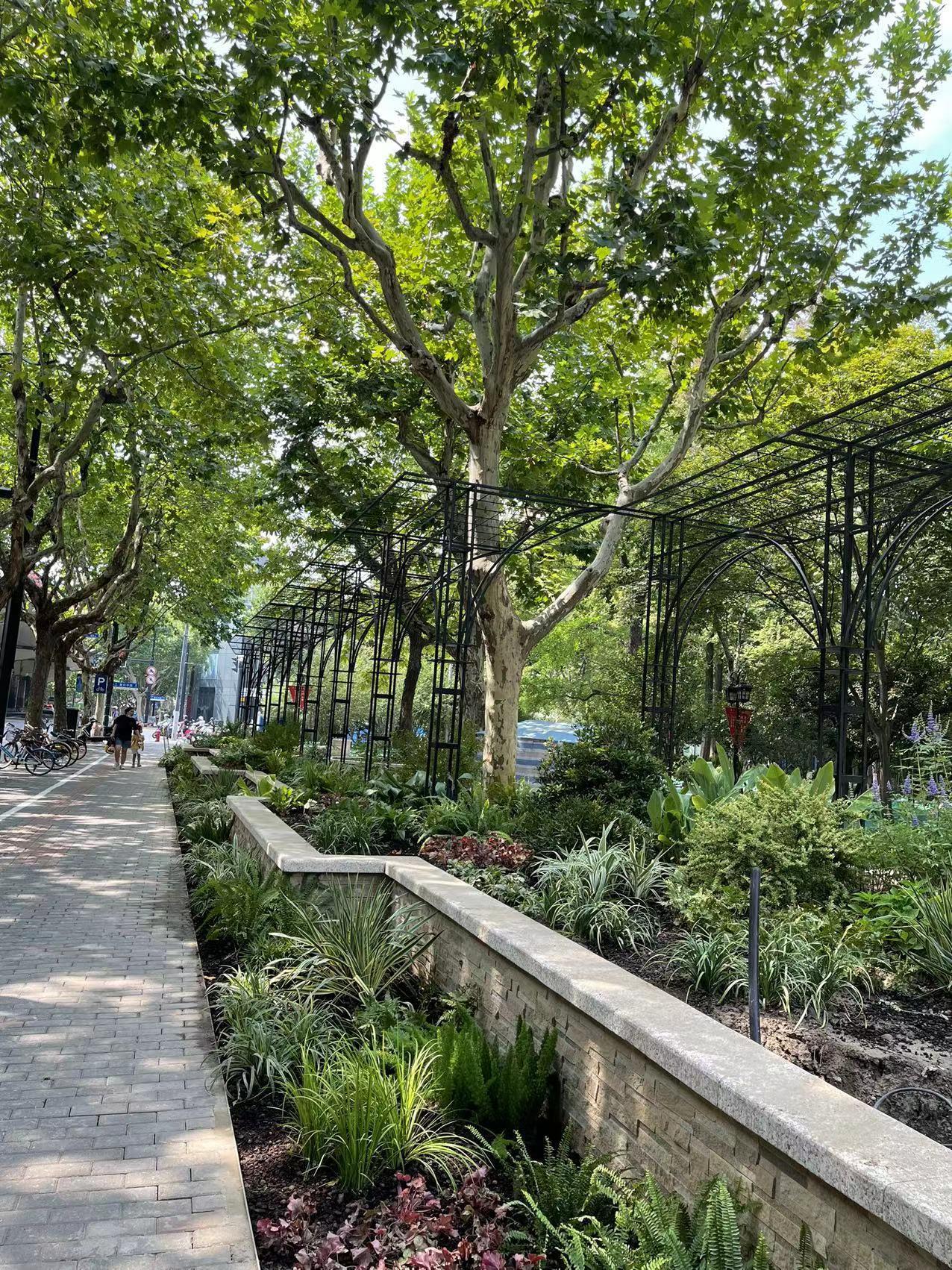 非凡十年 城在园中人在画中黄浦向“公园中的城市”开云体育 开云官网进发(图2)