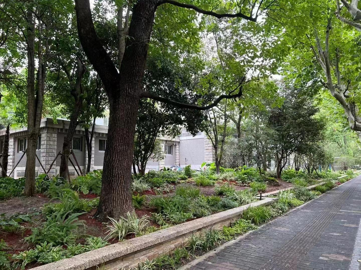 非凡十年 城在园中人在画中黄浦向“公园中的城市”开云体育 开云官网进发(图8)