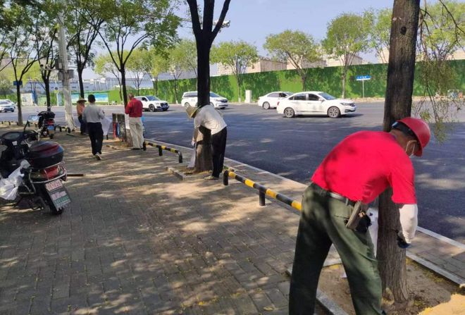 开云体育 开云官网多管齐下让绿化植物“喝饱水”(图2)