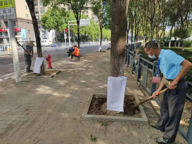 开云体育 开云官网多管齐下让绿化植物“喝饱水”(图3)