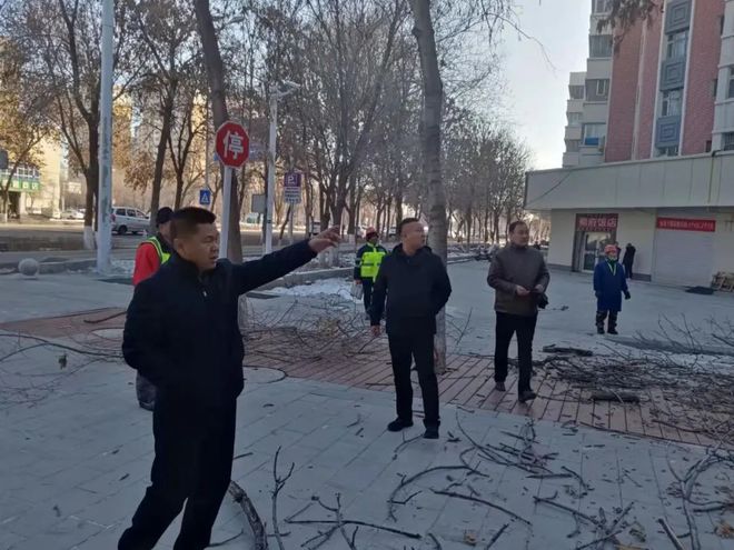 园林绿化养护中心领导现场指导大树修剪工作开云体育 开云平台(图1)