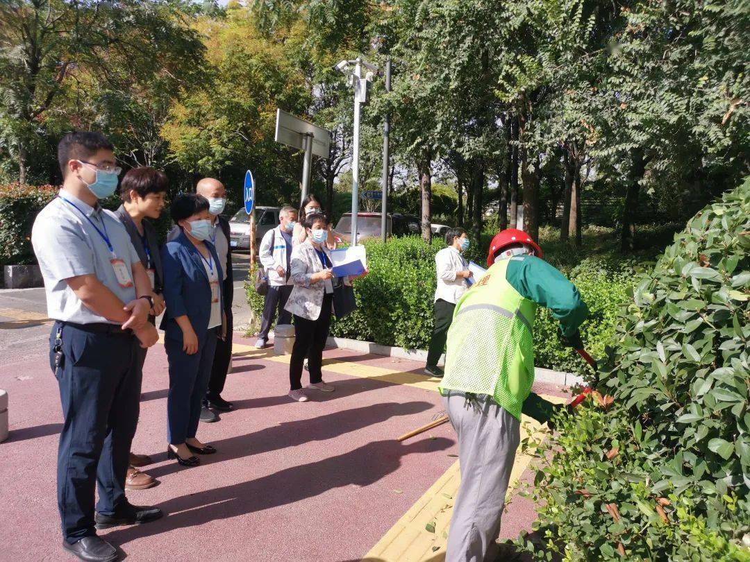 菏泽市职工职业技能大赛园林绿化养护修剪技能竞赛顺开云体育 开云平台利举行(图1)