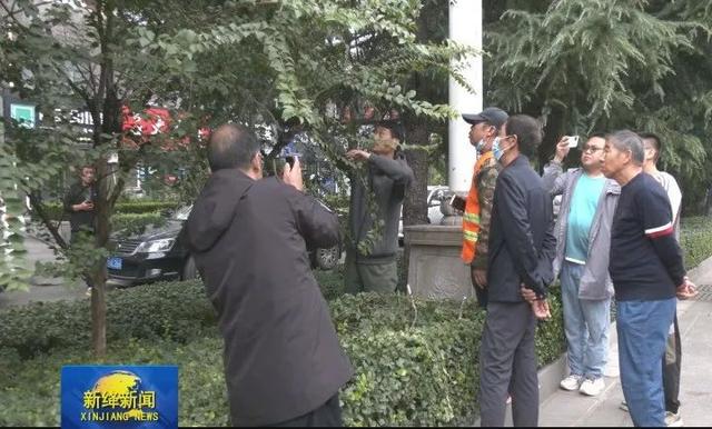 开云体育 开云官网运城市园林专家指导新绛县园林绿化工作(图2) 开云体育 开云官网运城市园林专家指导新绛县园林绿化工作(图2)