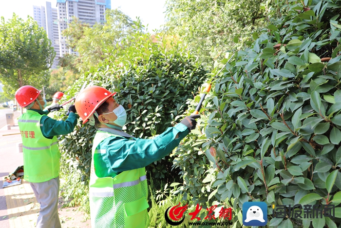 菏泽市职工职业技能大赛园林绿化养护修剪技能竞赛顺利举行_菏泽新闻_大众网开云体育 开云平台(图1)