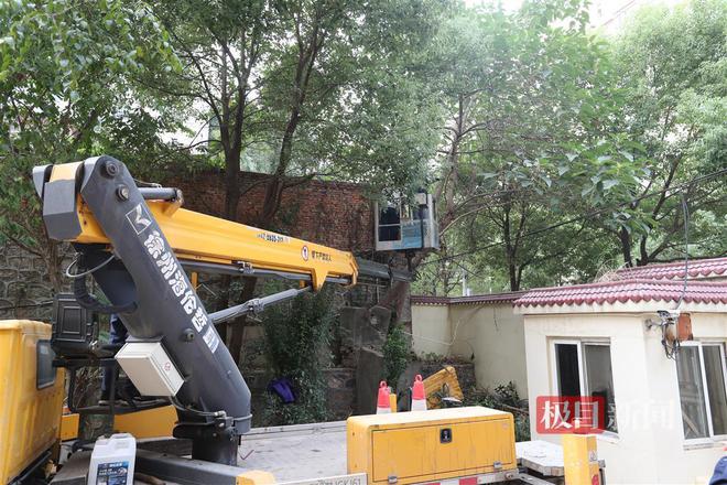 开云体育 开云官网小区内树根缠住燃气管道园林部门主动出击化解多方困扰(图5)