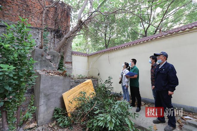 开云体育 开云官网小区内树根缠住燃气管道园林部门主动出击化解多方困扰(图3)