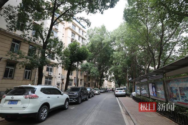 开云体育 开云官网小区内树根缠住燃气管道园林部门主动出击化解多方困扰(图1)