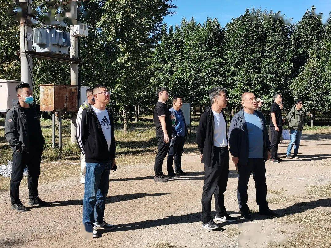区园林绿化局开云体育 开云官网调度南彩银杏主题公园建设工程(图1)