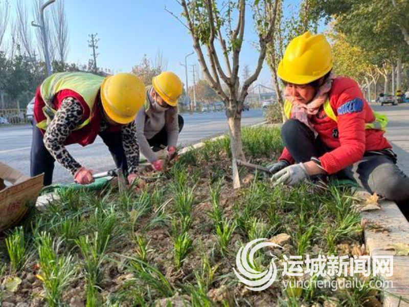 中心城区改开云体育 开云官网扩建道路秋冬季绿化工作有序推进br绿化增“诗情” 环境添“画意”(图3)