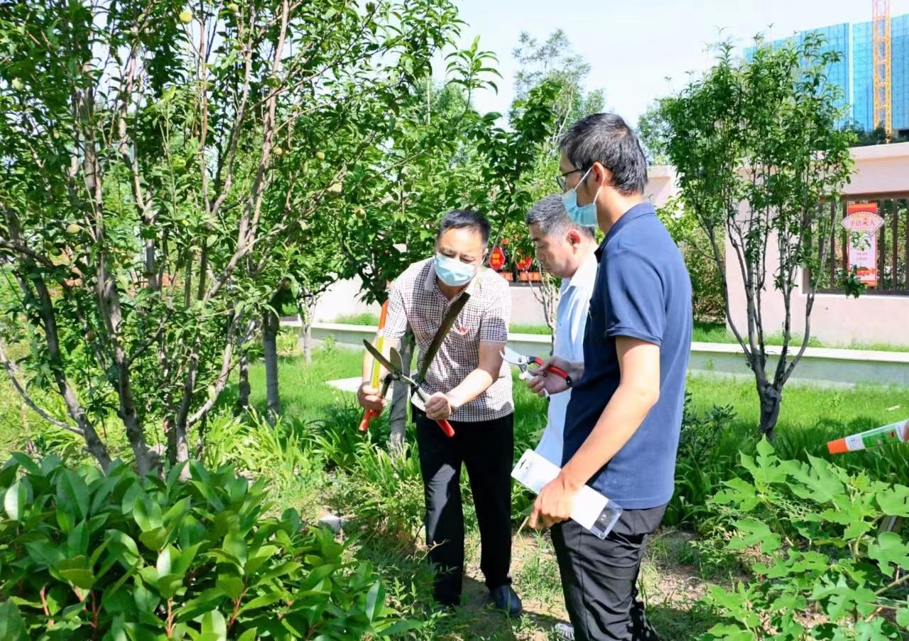 市中区开云体育 开云平台园林绿化服务中心开展绿化法规宣传活动进社区活动(图2)