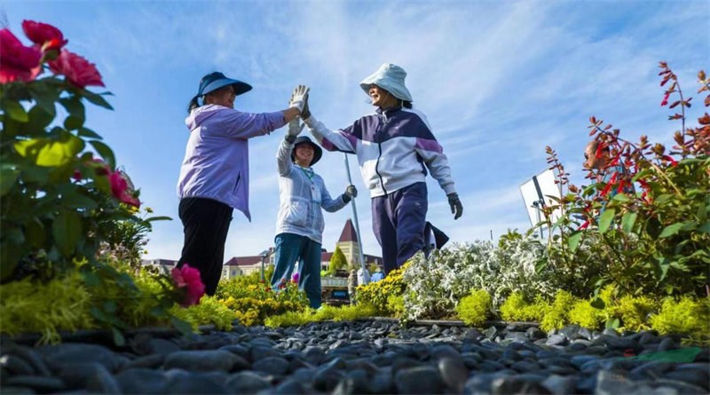开云体育 开云官网连云港市第三届园林绿化花境竞赛在灌南开赛(图4)