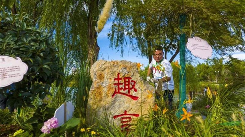 开云体育 开云官网连云港市第三届园林绿化花境竞赛在灌南开赛(图5)
