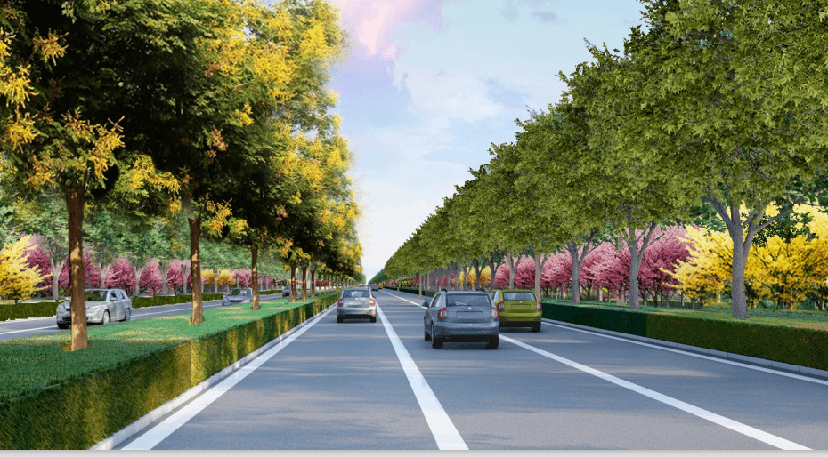 开云体育 开云平台滨海新区将建6条特色景观大道(图3)