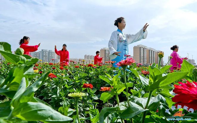 开云体育 开云平台本地资讯：甘州喜现新绿洲(图1)