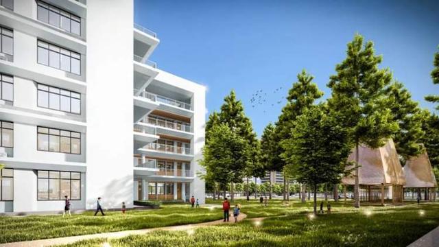 松江拟新建广开云体育 开云官网富林北富小学项目基地内的水杉林将被嵌入校园整体设计方案中(图2)