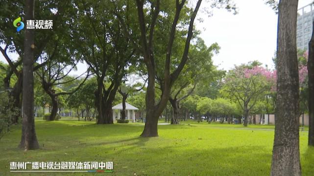 “小而美”升级改造 惠州公开云体育 开云平台园颜值大提升(图3)