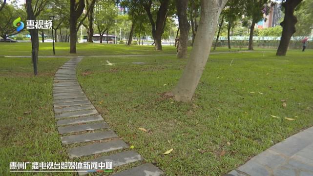 “小而美”升级改造 惠州公开云体育 开云平台园颜值大提升(图8)