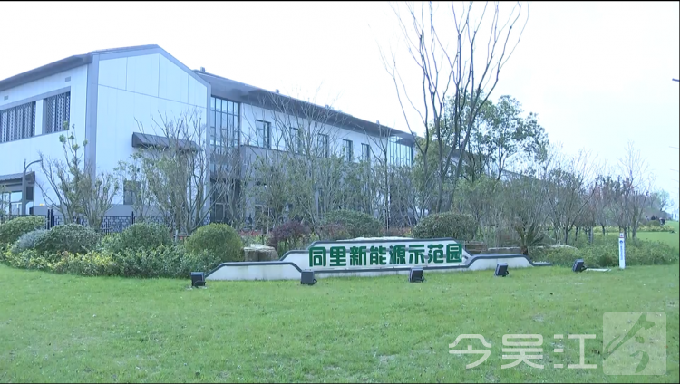 既要覆盖率也要美观度 吴江开云体育 开云平台绿化造林工程植出新“画风”(图1)