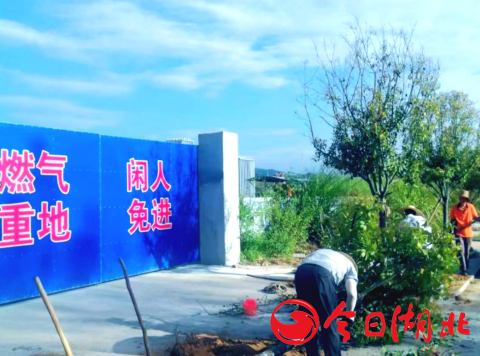 开云体育 开云官网罗田县园林绿化服务中心积极优化营商环境 为社会撑起一片绿荫(图1)