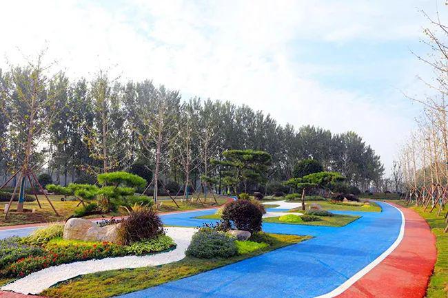 1开云体育 开云平台3亿滕州建公园(图2)