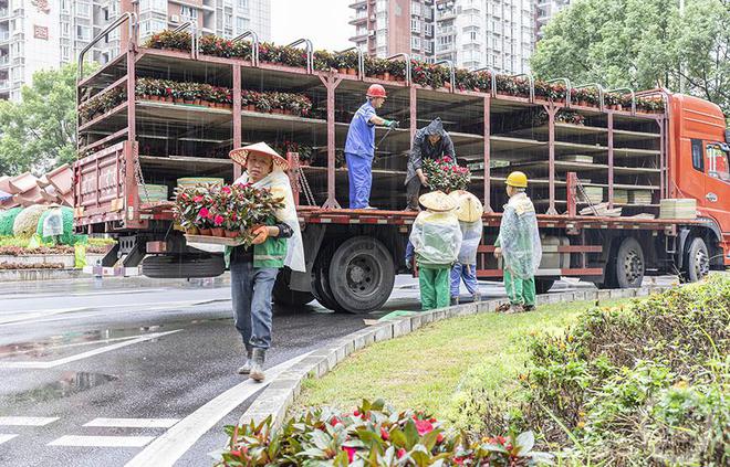 开云体育 开云平台重庆南川：扮靓城区 喜迎国庆(图3)