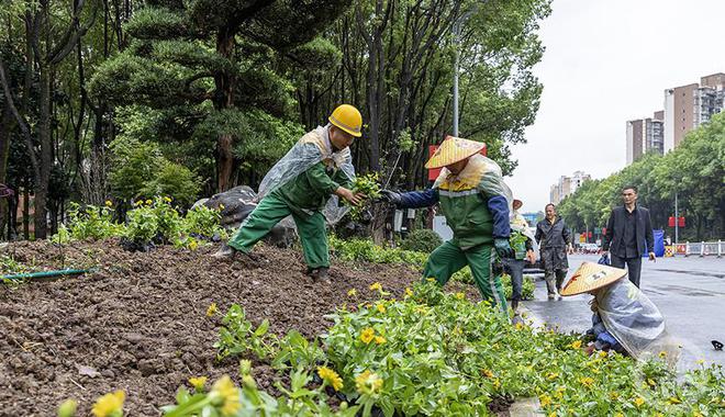 开云体育 开云平台重庆南川：扮靓城区 喜迎国庆(图8)