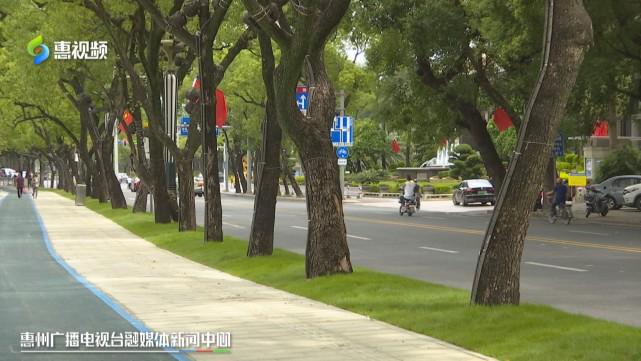喜迎国庆！惠开云体育 开云平台州西湖环湖步道一期工程完工(图3)