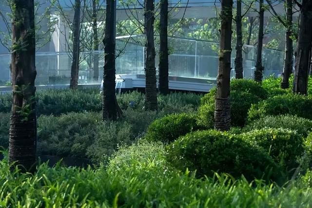 开云体育 开云官网园林景观设计的九种方法(图8)