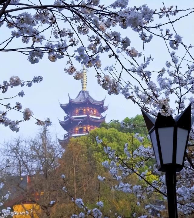 开云体育 开云官网园林景观设计的九种方法(图12)