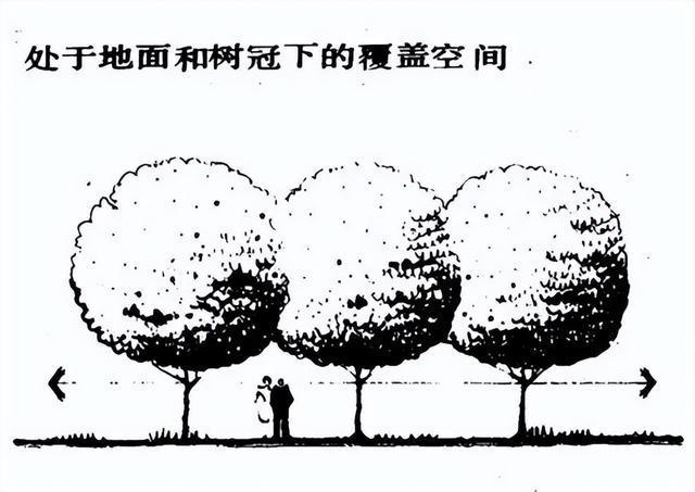 开云体育 开云官网园林景观设计的九种方法(图30)