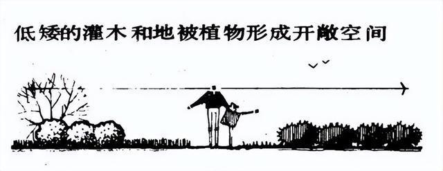 开云体育 开云官网园林景观设计的九种方法(图27)