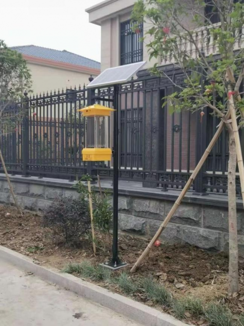 开云体育 开云官网南农大草坪隆打造园林绿化科技20时代(图4)