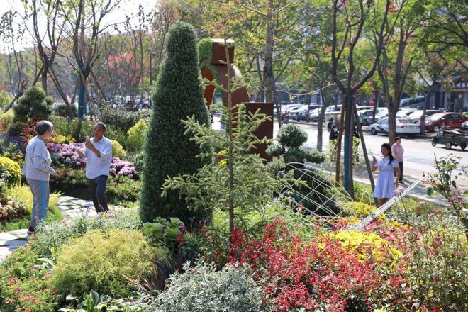 花境让生活更美好——第二届河南省（信阳）园林绿化花境园开园！开云体育 开云平台(图5)