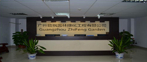 开云体育 开云官网致枫服务项目(图4)