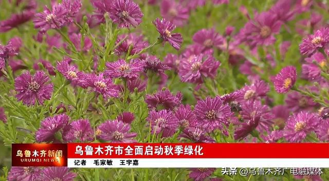 乌鲁木齐市全面启开云体育 开云官网动秋季绿化(图2)