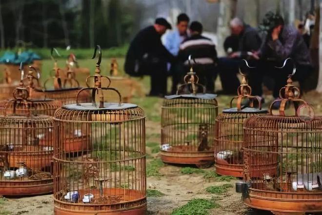 开云体育 开云平台这是永城最响亮的名片(图13)