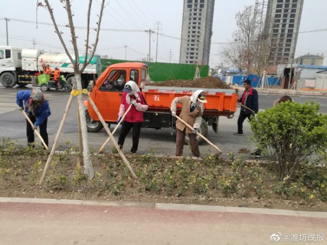 开云体育 开云官网经济区对新修道路绿化带进行设计 确保景观多样化(图1)
