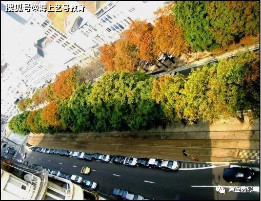 开云体育 开云官网详解城市道路绿地景观设计(图1)