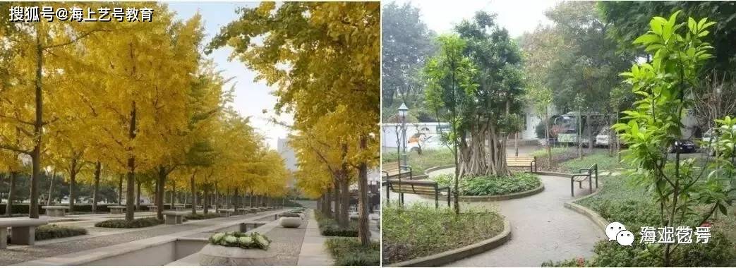 开云体育 开云官网详解城市道路绿地景观设计(图14)