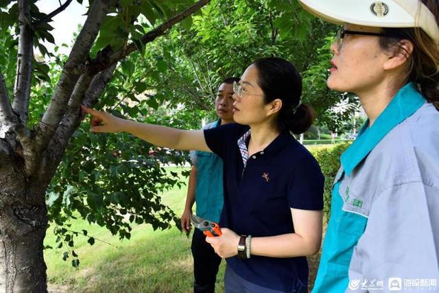 开云体育 开云平台潍坊寿光崔永英:让园林成为诚信阵地(图3) 开云体育 开云平台潍坊寿光崔永英:让园林成为诚信阵地(图3)