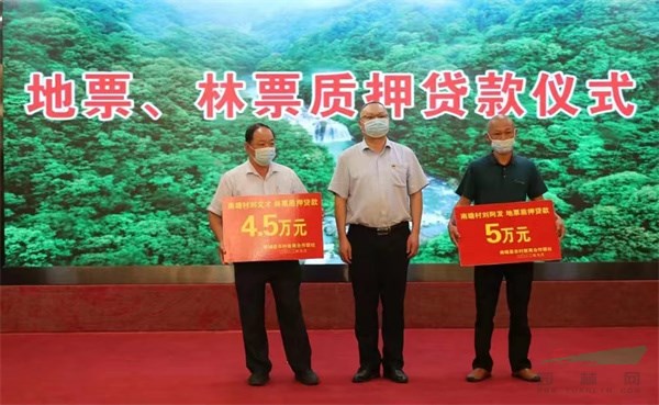 漳开云体育 开云官网州林业地票林票激活绿色产业发展潜能(图2)