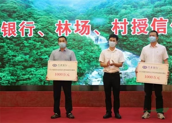 漳开云体育 开云官网州林业地票林票激活绿色产业发展潜能(图3)