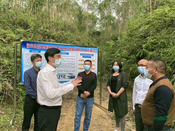 漳开云体育 开云官网州林业地票林票激活绿色产业发展潜能(图4)