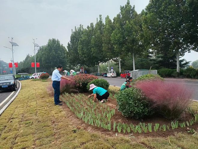 开云体育 开云平台寿光园林建设集团：精细化绿化管护 养出如画秋景(图4)