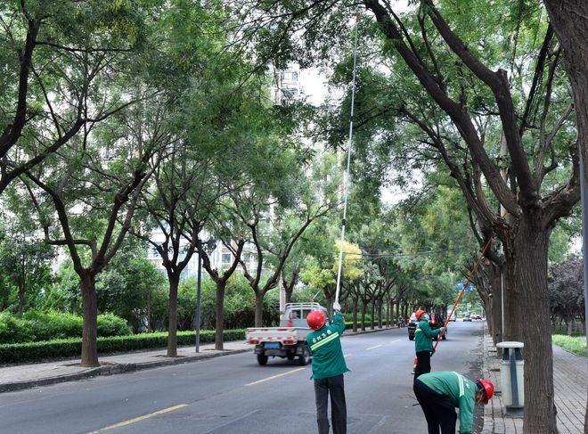 开云体育 开云平台寿光园林建设集团：精细化绿化管护 养出如画秋景(图2)